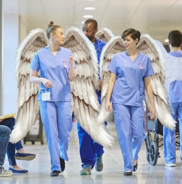 a Doutora e o Anjo de São Bernardo