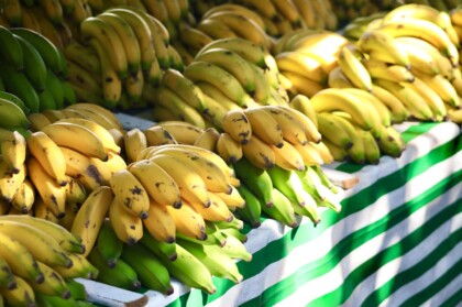 Feira Livre, Feira Viva.